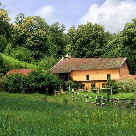 Le Mas De Planaise Saint-Jean-d'Avelanne Exterior foto