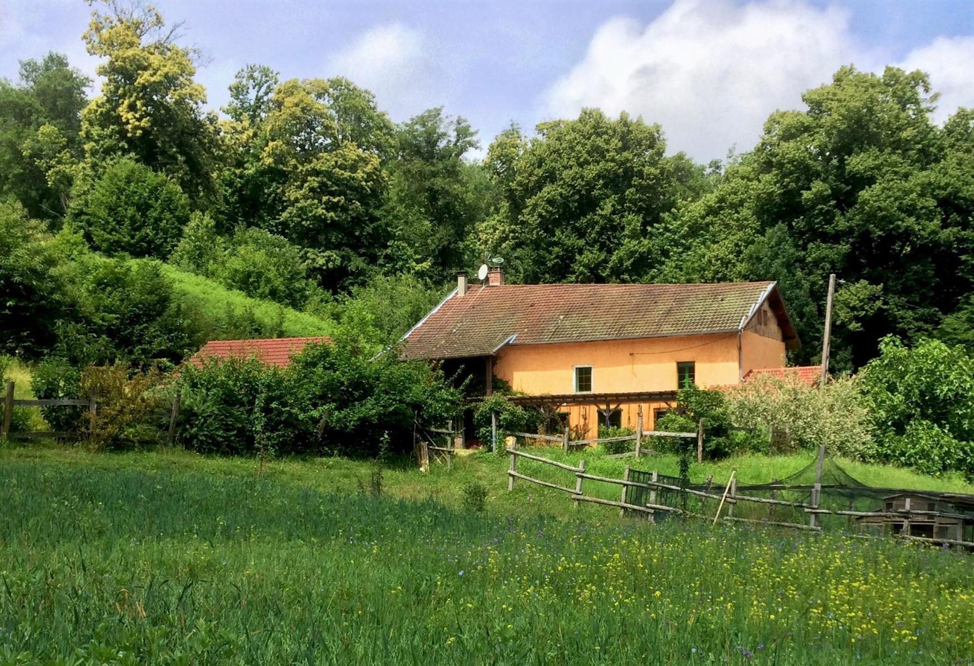 Le Mas De Planaise Saint-Jean-d'Avelanne Exterior foto